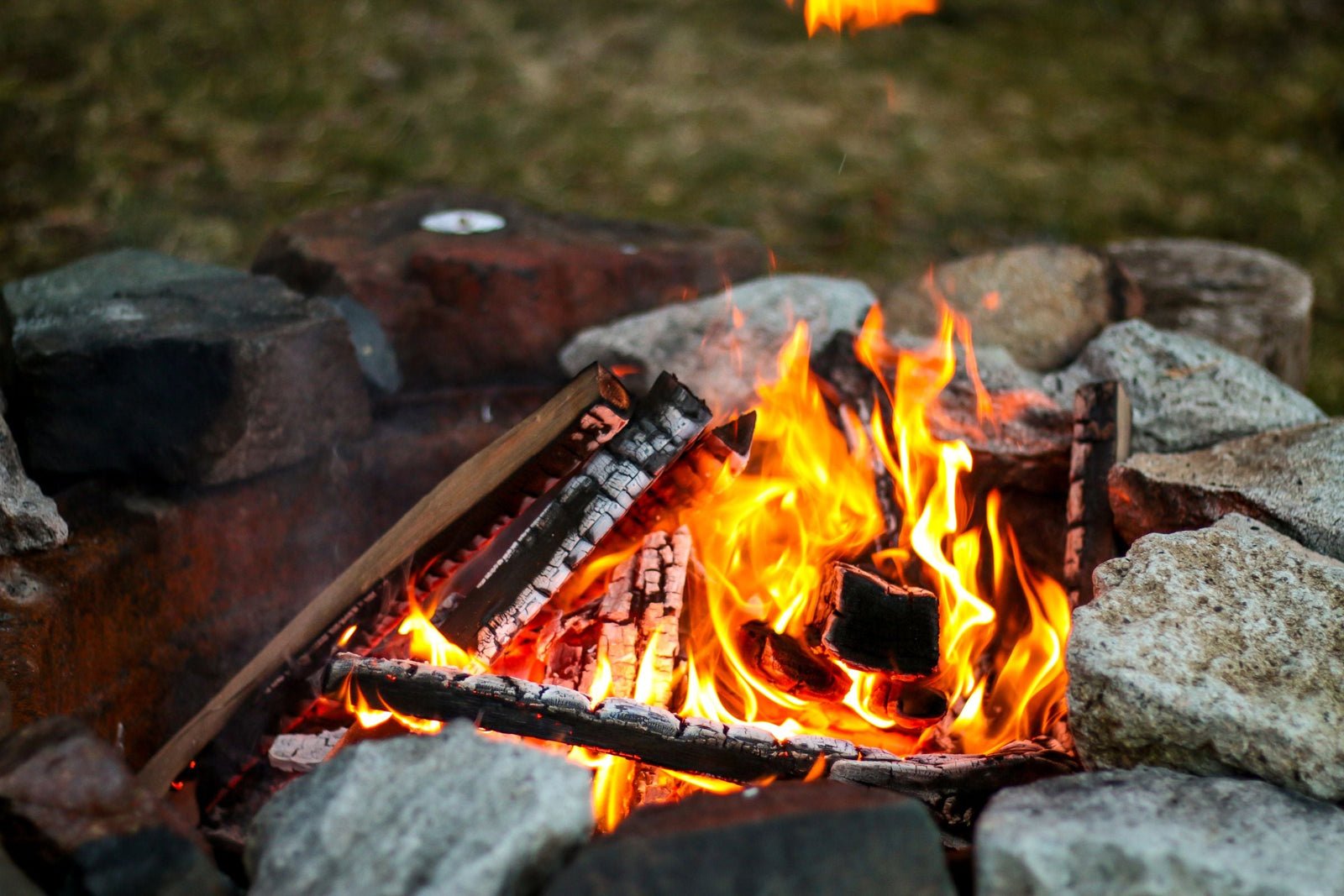 Firewood for Outdoor Adventures: Best Woods for Campfires