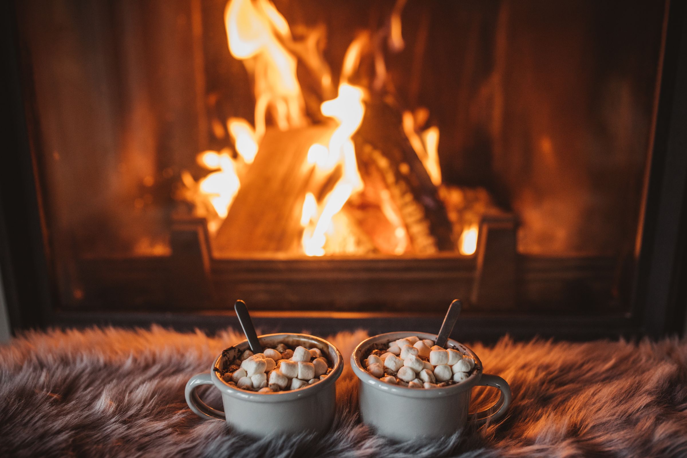 Top Firewood Delivery Services in New Jersey This Winter