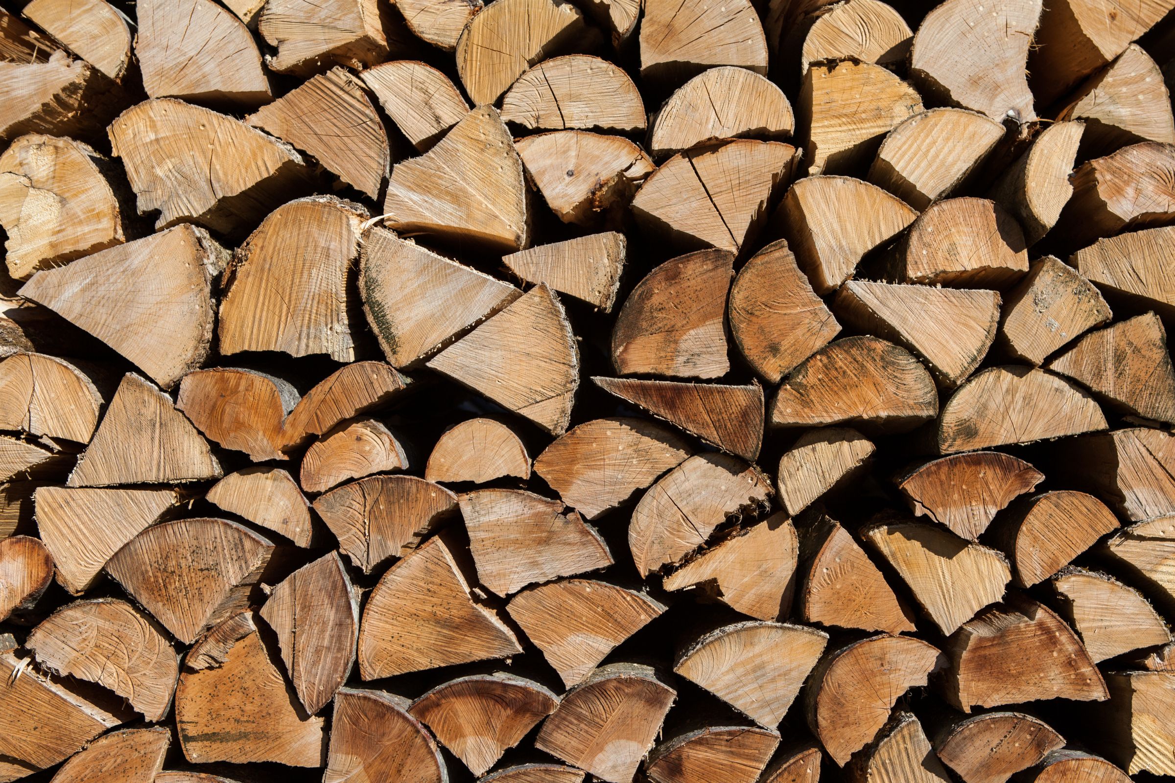 NJ’s Most Popular Firewood Types and Their Uses This Winter