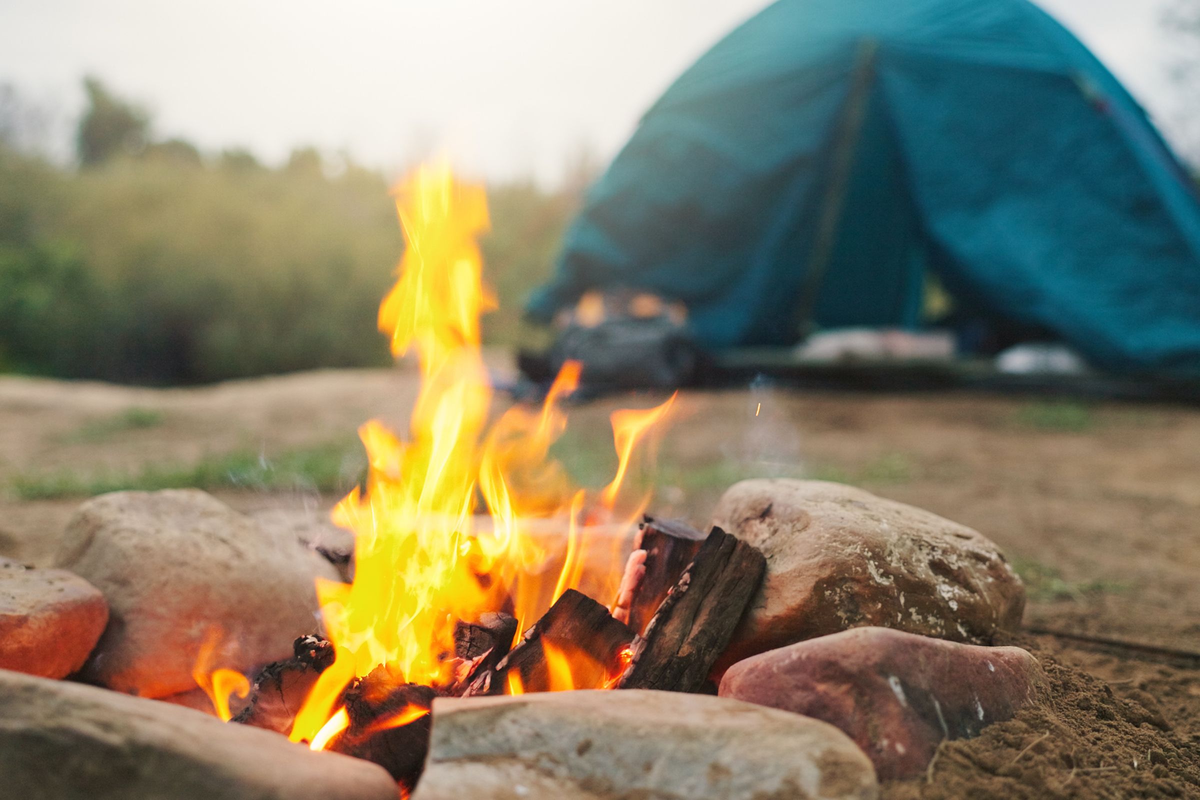 Best Firewood for Camping: What to Bring and What to Avoid